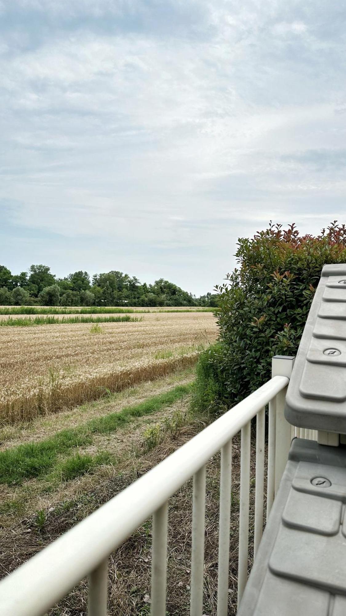 Parisi Bnb - Venezia Aeroporto Marco Polo Apartment Tessera Exterior photo
